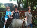 Kids_DZoo (61)